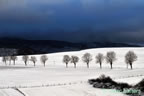 hiver, cevennes, 2025 2026,